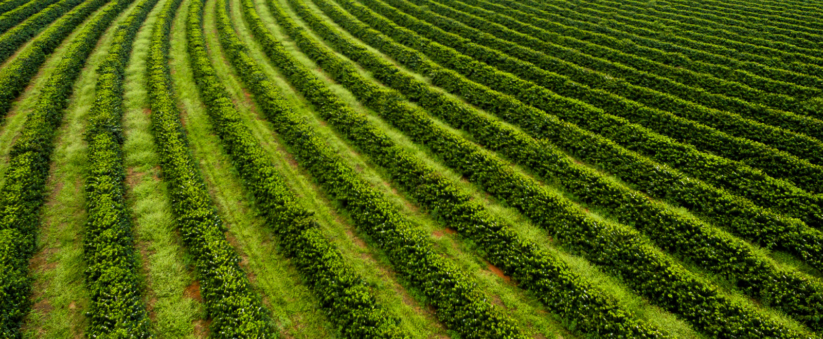 farm land